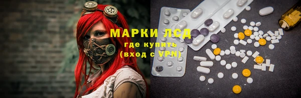 мяу мяу мука Коряжма