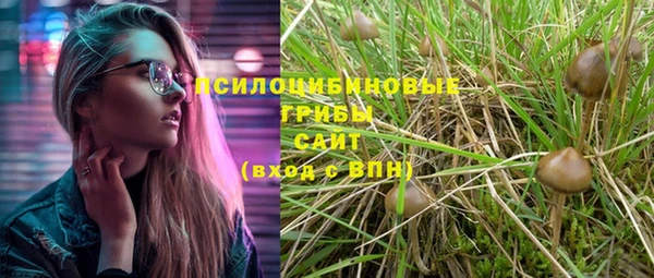 экстази Корсаков