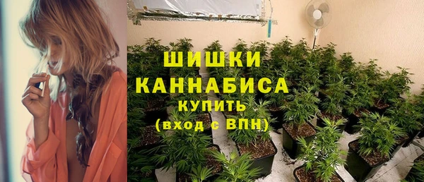 мяу мяу мука Коряжма