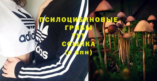 экстази Корсаков
