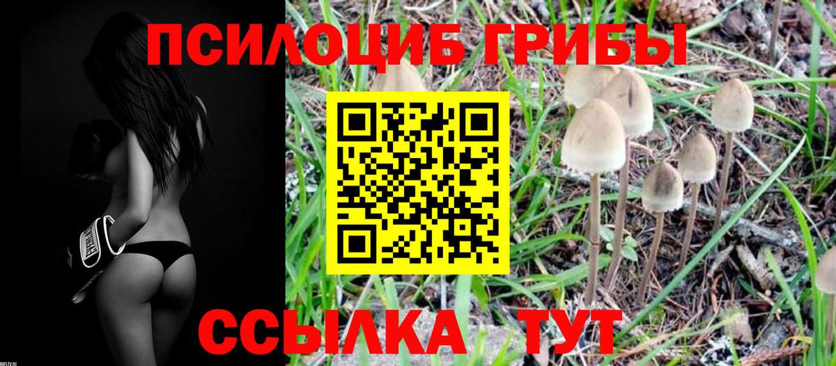Псилоцибиновые грибы прущие грибы Киров