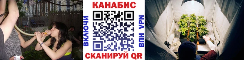 МАРИХУАНА SATIVA & INDICA  Киров 